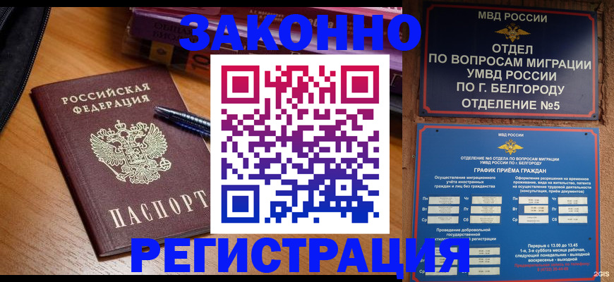 временная регистрация надежно в Мурманске